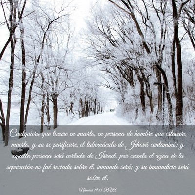 Picture 03 - Números 19:13 RVA - Cualquiera que tocare en muerto, en persona de - Bible Verse Picture