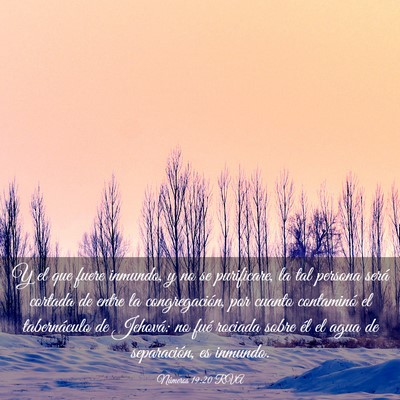 Picture 03 - Números 19:20 RVA - Y el que fuere inmundo, y no se purificare, la - Bible Verse Picture