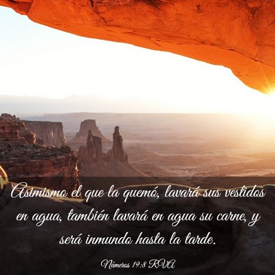 Picture 03 - Números 19:8 RVA - Asimismo el que la quemó, lavará sus vestidos - Bible Verse Picture