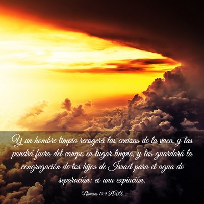 Picture 03 - Números 19:9 RVA - Y un hombre limpio recogerá las cenizas de la - Bible Verse Picture