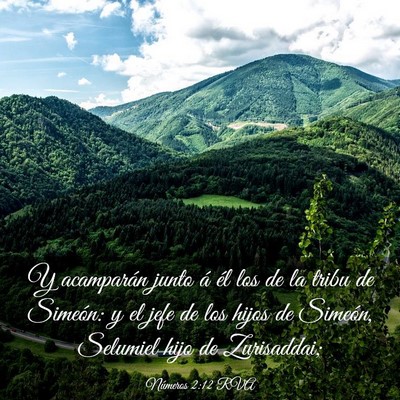 Picture 03 - Números 2:12 RVA - Y acamparán junto á él los de la tribu de - Bible Verse Picture