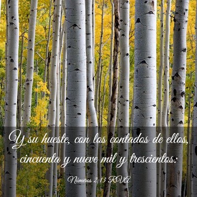 Picture 03 - Números 2:13 RVA - Y su hueste, con los contados de ellos, cincuenta - Bible Verse Picture