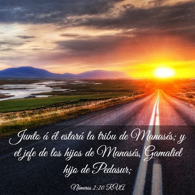Picture 03 - Números 2:20 RVA - Junto á él estará la tribu de Manasés; y el - Bible Verse Picture