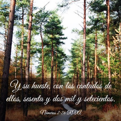 Picture 03 - Números 2:26 RVA - Y su hueste, con los contados de ellos, sesenta y - Bible Verse Picture