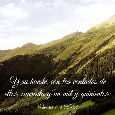 Picture 03 - Números 2:28 RVA - Y su hueste, con los contados de ellos, cuarenta - Bible Verse Picture