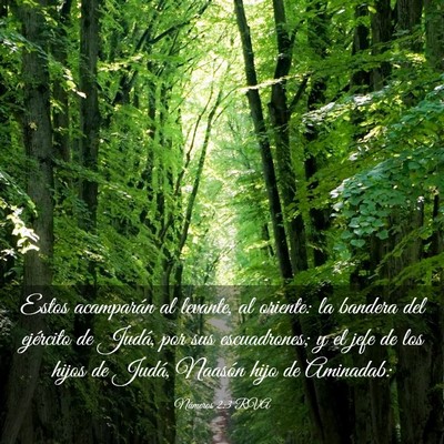 Picture 03 - Números 2:3 RVA - Estos acamparán al levante, al oriente: la - Bible Verse Picture