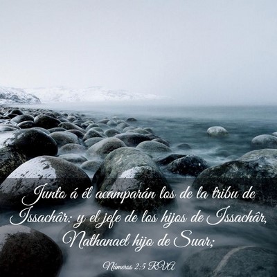 Picture 03 - Números 2:5 RVA - Junto á él acamparán los de la tribu de - Bible Verse Picture