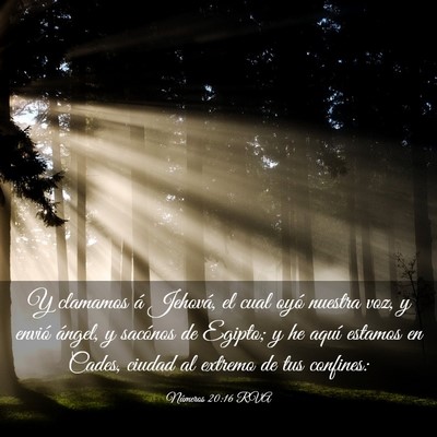 Picture 03 - Números 20:16 RVA - Y clamamos á Jehová, el cual oyó nuestra voz, - Bible Verse Picture