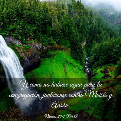 Picture 03 - Números 20:2 RVA - Y como no hubiese agua para la congregación, - Bible Verse Picture