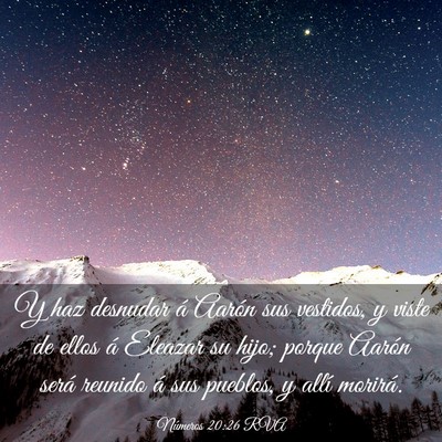 Picture 03 - Números 20:26 RVA - Y haz desnudar á Aarón sus vestidos, y viste de - Bible Verse Picture