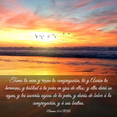 Picture 03 - Números 20:8 RVA - Toma la vara y reune la congregación, tú y - Bible Verse Picture