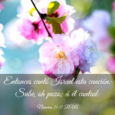 Picture 03 - Números 21:17 RVA - Entonces cantó Israel esta canción: Sube, oh - Bible Verse Picture