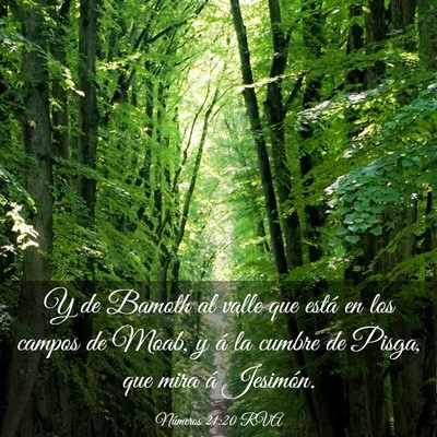 Picture 03 - Números 21:20 RVA - Y de Bamoth al valle que está en los campos de - Bible Verse Picture