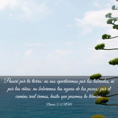 Picture 03 - Números 21:22 RVA - Pasaré por tu tierra: no nos apartaremos por los - Bible Verse Picture