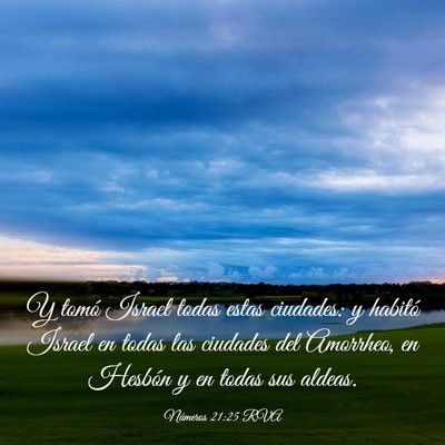 Picture 03 - Números 21:25 RVA - Y tomó Israel todas estas ciudades: y habitó - Bible Verse Picture