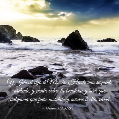 Picture 03 - Números 21:8 RVA - Y Jehová dijo á Moisés: Hazte una serpiente - Bible Verse Picture