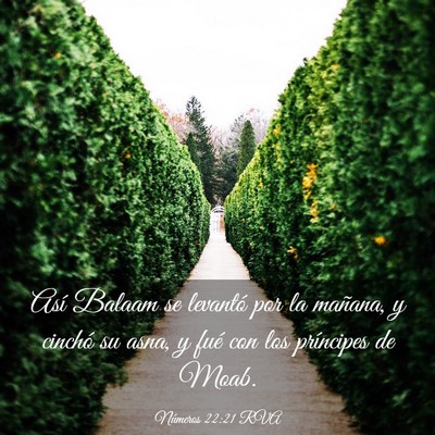Picture 03 - Números 22:21 RVA - Así Balaam se levantó por la mañana, y cinchó - Bible Verse Picture