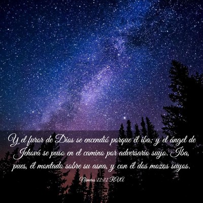 Picture 03 - Números 22:22 RVA - Y el furor de Dios se encendió porque él iba; y - Bible Verse Picture