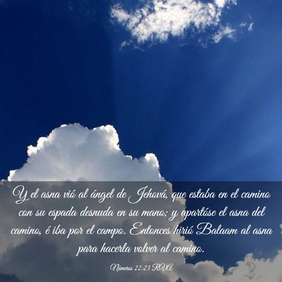 Picture 03 - Números 22:23 RVA - Y el asna vió al ángel de Jehová, que estaba - Bible Verse Picture