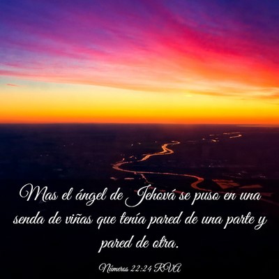 Picture 03 - Números 22:24 RVA - Mas el ángel de Jehová se puso en una senda de - Bible Verse Picture