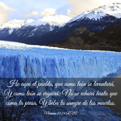 Picture 03 - Números 23:24 RVA - He aquí el pueblo, que como león se levantará, - Bible Verse Picture
