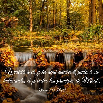 Picture 03 - Números 23:6 RVA - Y volvió á él, y he aquí estaba él junto á - Bible Verse Picture