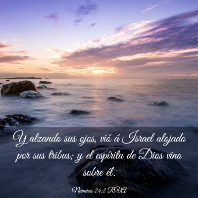 Picture 03 - Números 24:2 RVA - Y alzando sus ojos, vió á Israel alojado por - Bible Verse Picture