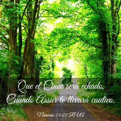Picture 03 - Números 24:22 RVA - Que el Cineo será echado, Cuando Assur te - Bible Verse Picture