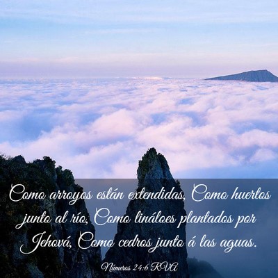 Picture 03 - Números 24:6 RVA - Como arroyos están extendidas, Como huertos - Bible Verse Picture