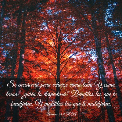 Picture 03 - Números 24:9 RVA - Se encorvará para echarse como león, Y como - Bible Verse Picture