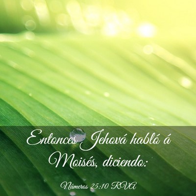 Picture 03 - Números 25:10 RVA - Entonces Jehová habló á Moisés, - Bible Verse Picture