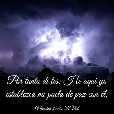 Picture 03 - Números 25:12 RVA - Por tanto di les: He aquí yo establezco mi pacto - Bible Verse Picture