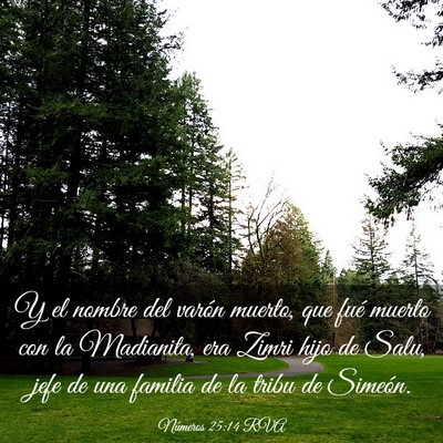 Picture 03 - Números 25:14 RVA - Y el nombre del varón muerto, que fué muerto - Bible Verse Picture