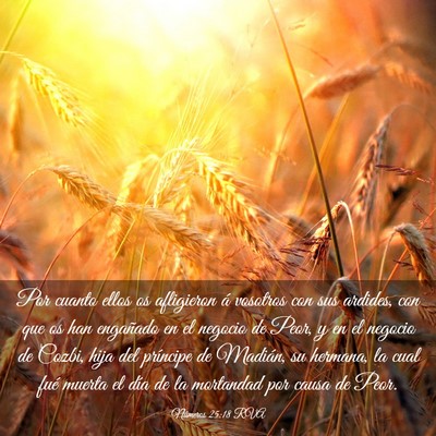 Picture 03 - Números 25:18 RVA - Por cuanto ellos os afligieron á vosotros con - Bible Verse Picture