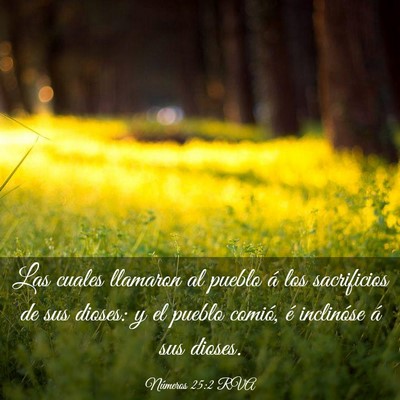 Picture 03 - Números 25:2 RVA - Las cuales llamaron al pueblo á los sacrificios - Bible Verse Picture
