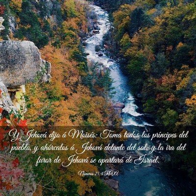 Picture 03 - Números 25:4 RVA - Y Jehová dijo á Moisés: Toma todos los - Bible Verse Picture