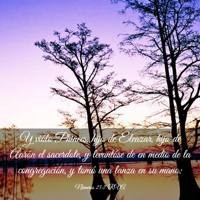 Picture 03 - Números 25:7 RVA - Y viólo Phinees, hijo de Eleazar, hijo de Aarón - Bible Verse Picture