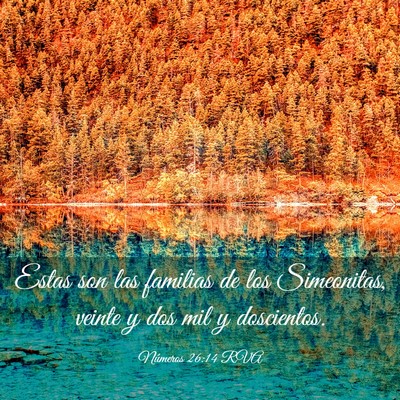 Picture 03 - Números 26:14 RVA - Estas son las familias de los Simeonitas, veinte - Bible Verse Picture