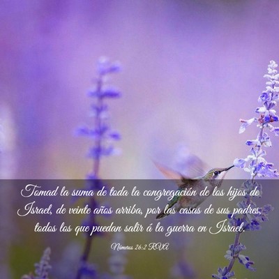 Picture 03 - Números 26:2 RVA - Tomad la suma de toda la congregación de los - Bible Verse Picture