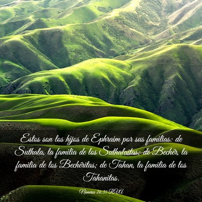 Picture 03 - Números 26:35 RVA - Estos son los hijos de Ephraim por sus familias: - Bible Verse Picture