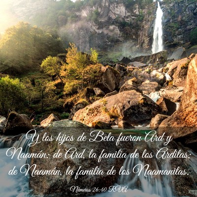 Picture 03 - Números 26:40 RVA - Y los hijos de Bela fueron Ard y Naamán: de Ard, - Bible Verse Picture