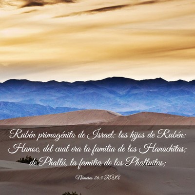 Picture 03 - Números 26:5 RVA - Rubén primogénito de Israel: los hijos de - Bible Verse Picture