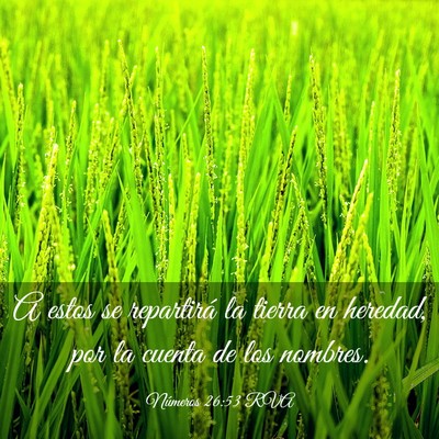 Picture 03 - Números 26:53 RVA - A estos se repartirá la tierra en heredad, por - Bible Verse Picture