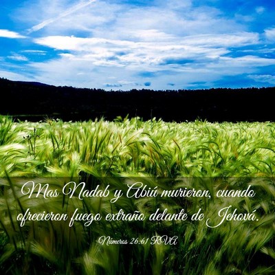 Picture 03 - Números 26:61 RVA - Mas Nadab y Abiú murieron, cuando ofrecieron - Bible Verse Picture