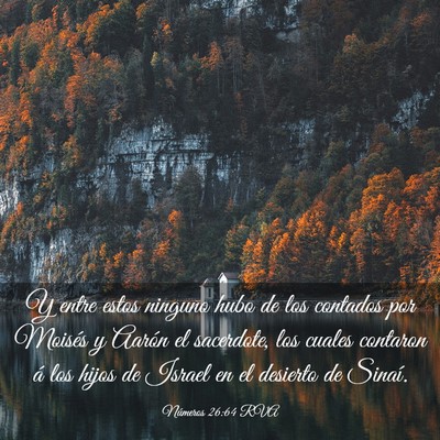 Picture 03 - Números 26:64 RVA - Y entre estos ninguno hubo de los contados por - Bible Verse Picture