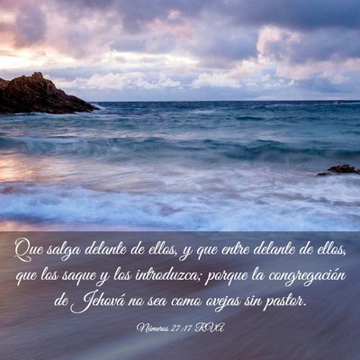 Picture 03 - Números 27:17 RVA - Que salga delante de ellos, y que entre delante - Bible Verse Picture