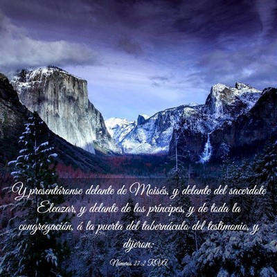 Picture 03 - Números 27:2 RVA - Y presentáronse delante de Moisés, y delante - Bible Verse Picture