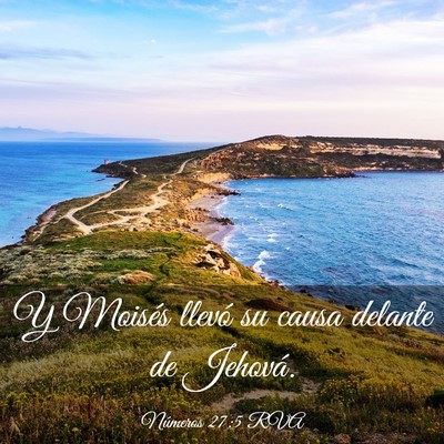 Picture 03 - Números 27:5 RVA - Y Moisés llevó su causa delante de - Bible Verse Picture