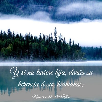 Picture 03 - Números 27:9 RVA - Y si no tuviere hija, daréis su herencia á sus - Bible Verse Picture