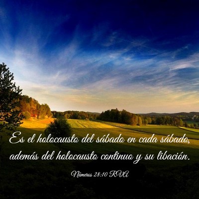Picture 03 - Números 28:10 RVA - Es el holocausto del sábado en cada sábado, - Bible Verse Picture
